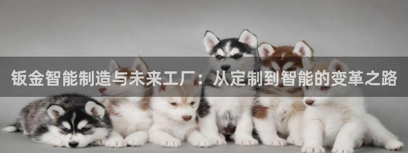 乐发ii彩票平台怎么样