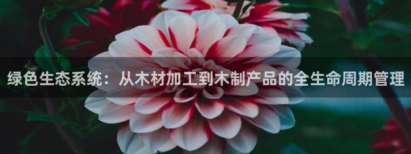 乐发彩票平台正规不