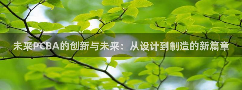 乐发平台注册资金多少钱