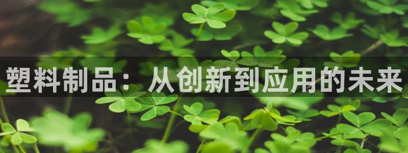 乐发xl彩票平台正规不