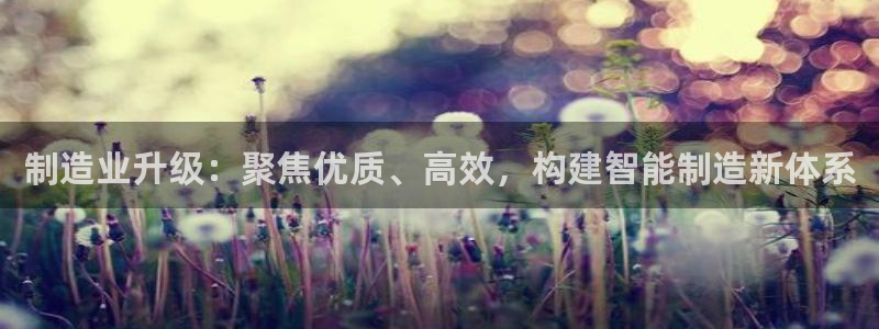 乐跑工资发平台还是卡里