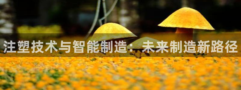 乐发x这个平台靠谱吗