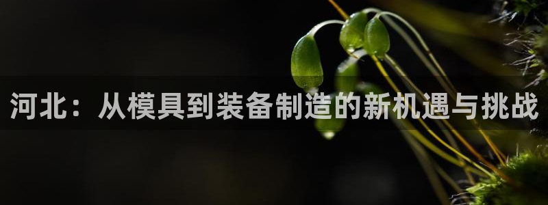 乐发平台不能提现