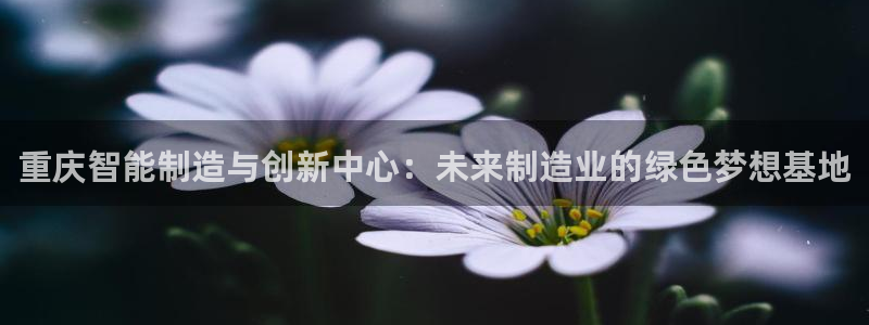 乐发彩票娱乐平台