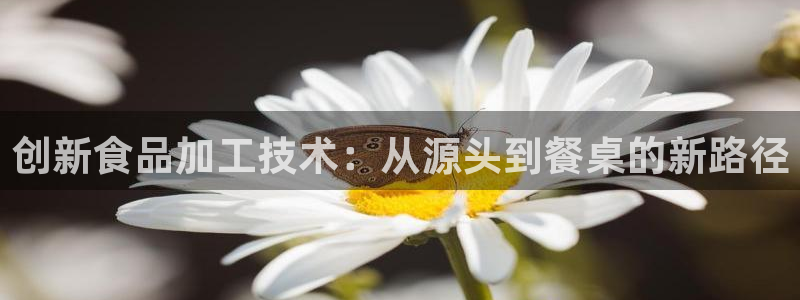 乐发体育平台官网首页