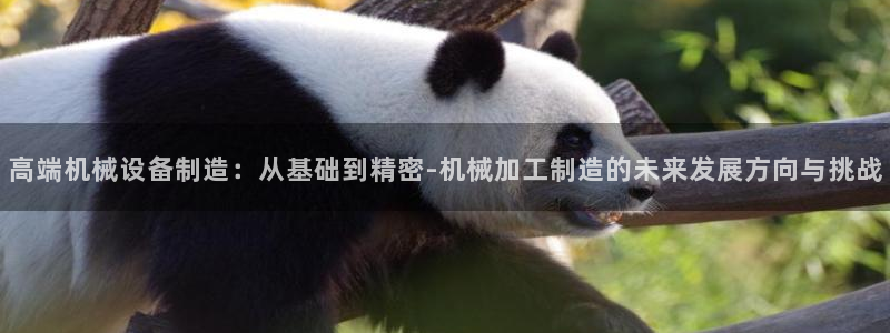 大发乐发x诈骗平台