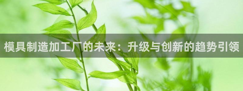 乐发iii平台优点