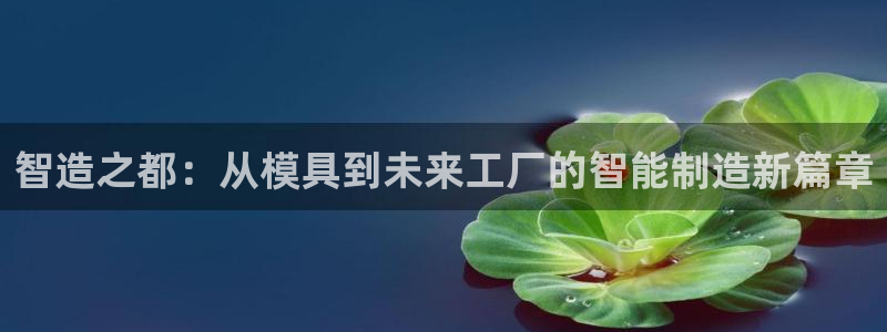 乐发IV平台注册