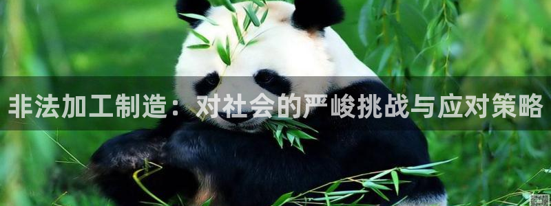 乐发体育平台官网首页