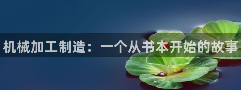 类似乐虎优发老虎机平台