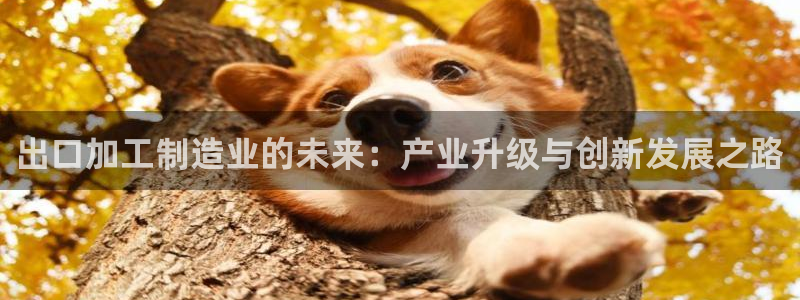 乐发茶楼团购平台官网