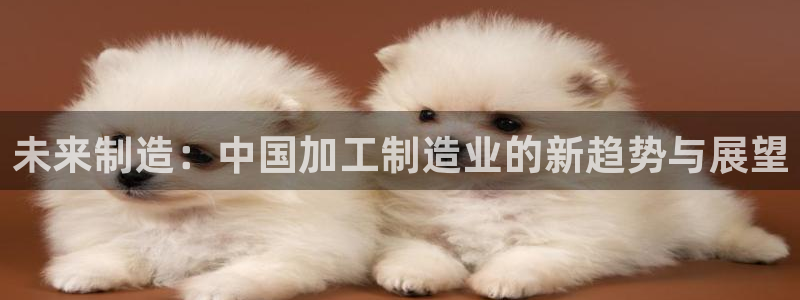 棋乐棋牌平台浦发棋牌