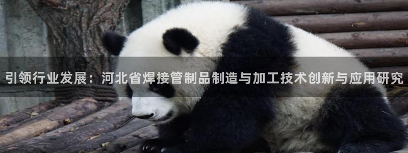 乐发是不是正规平台