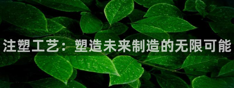 乐贷公告是什么平台发的