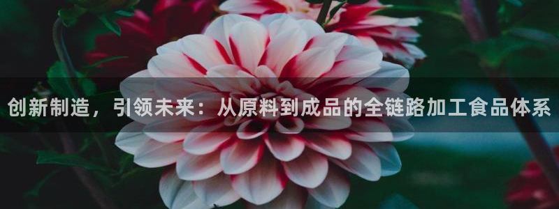 乐发彩票平台正规不