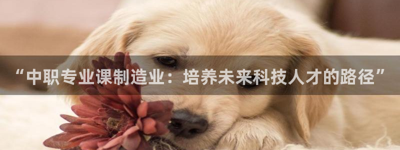 乐发lv这个平台怎么样