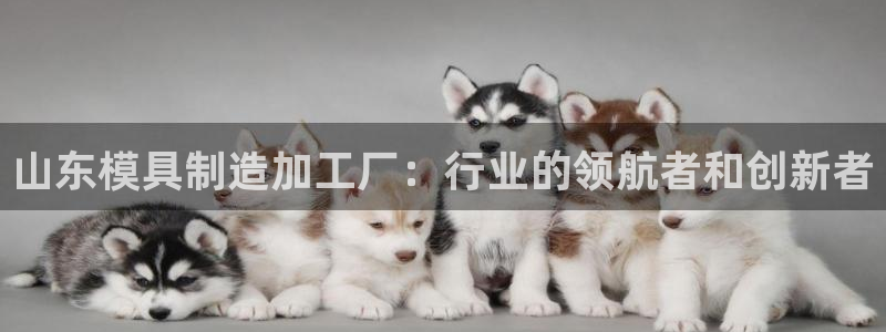 乐发彩票平台怎么样