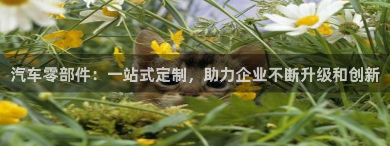 乐发传媒是个什么平台