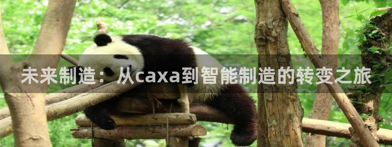 乐发快三彩票平台下载