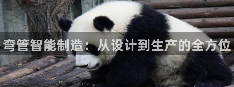 乐发平台不能提现