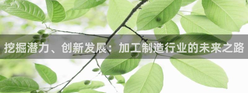 乐发平台杀猪盘