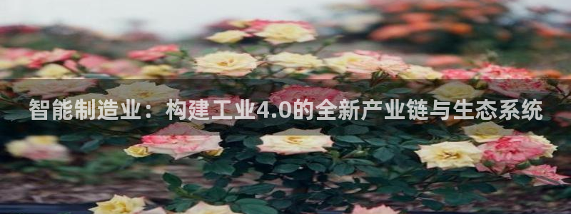 兼职乐app发圈平台