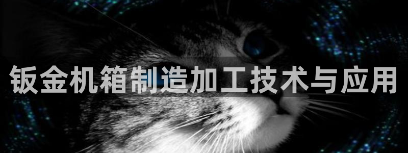 乐发平台注册资金多少