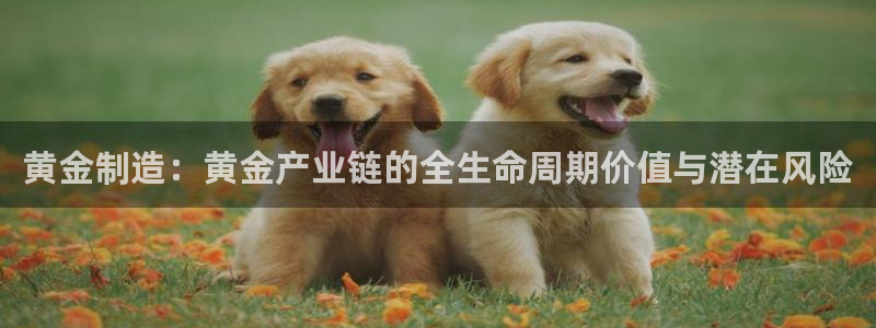 乐发国际平台