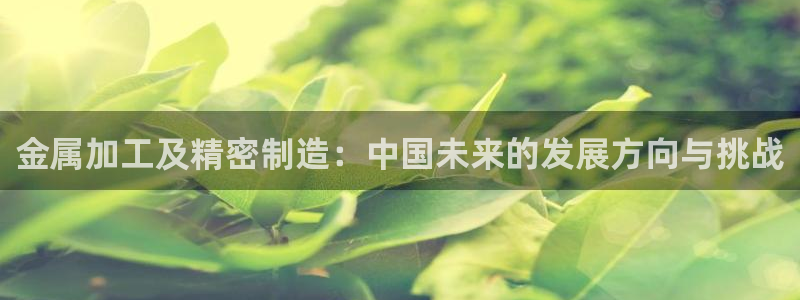 乐发第一娱乐平台邀请码