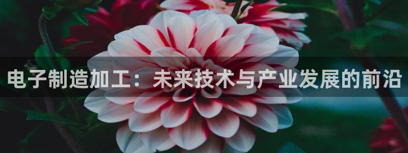 乐发平台邀请码是多少