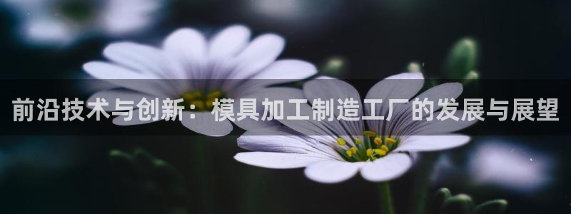 乐发平台金辉娱乐怎么样