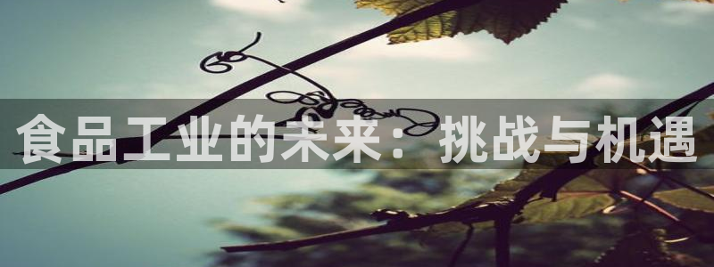 乐发邀请码平台是什么