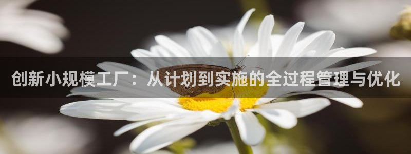 乐发xl彩票平台正规不