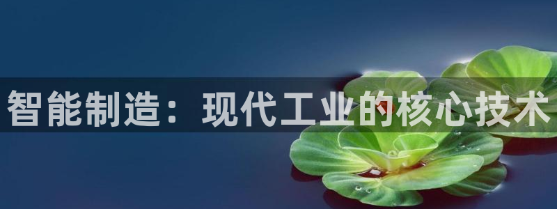 乐发vll彩票平台