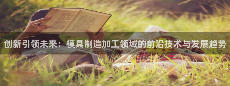 乐发彩票平台网址查询