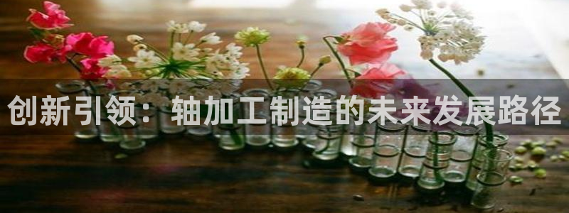 乐发发平台注册