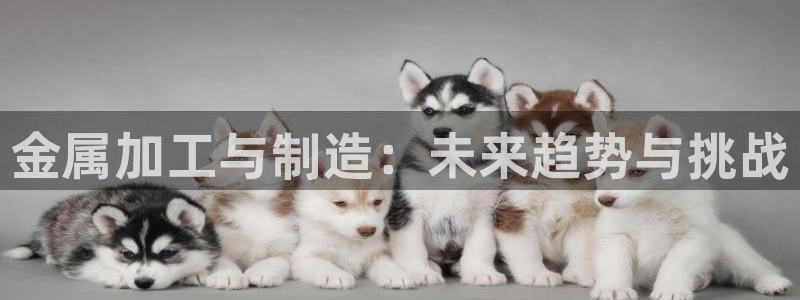 乐发第一娱乐平台邀请码