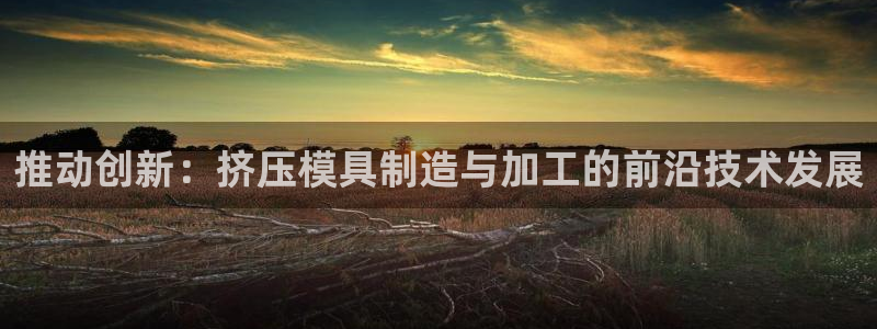 乐发平台注册流程图片