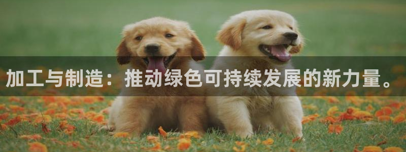 众乐一分大发彩票平台