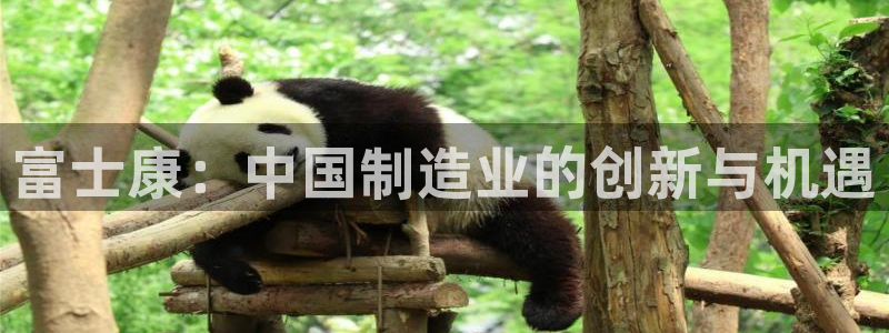 乐发国际娱乐平台