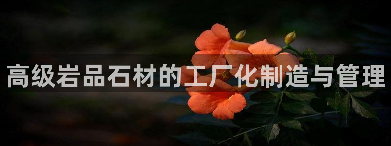 乐发平台杀猪盘