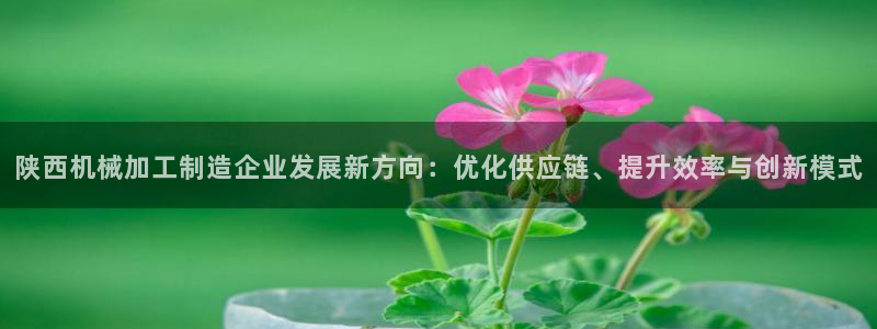 乐享发朋友圈平台