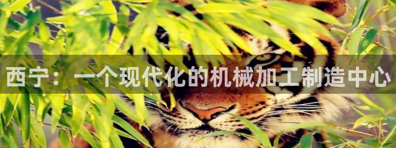 乐发旗下的老平台邀请码