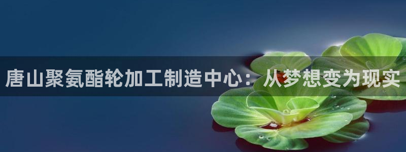 乐发是不是正规平台