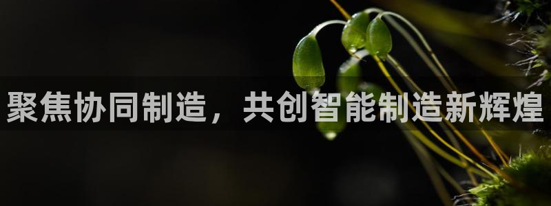 乐发茶楼团购平台官网