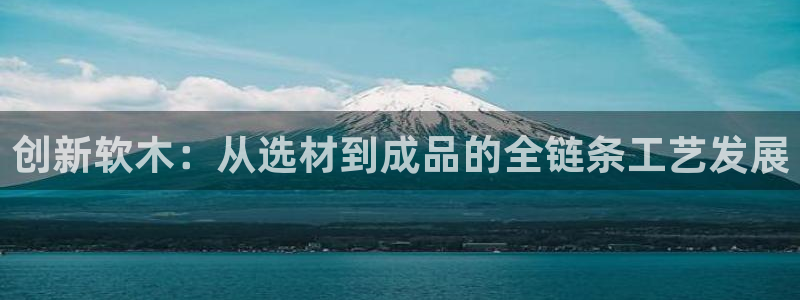 乐发彩票平台怎么样啊